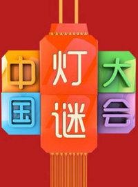 中国灯谜大会 2014