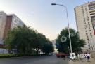 晴晒天气持续“霸屏”北京 本周最高气温32-33℃
